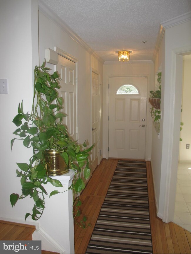 34 Cottage Field Ct, Germantown, MD 20874 - photo 4