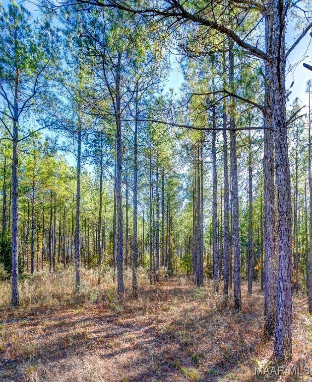 69 Highway 80 Rd, Auburn, AL 36830 - photo 3