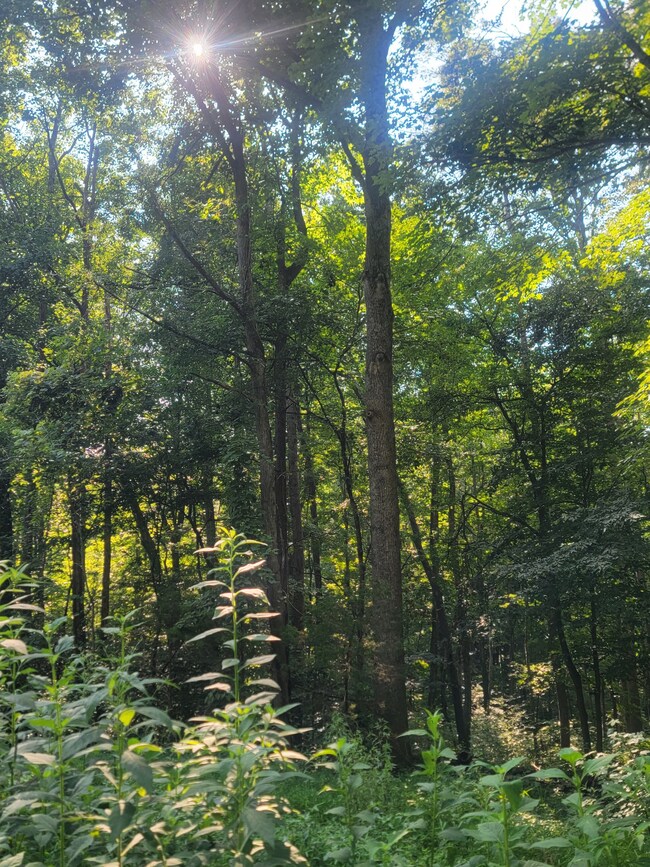 5395 Eastport Dock Rd, Monroe, TN 38573 - photo 4