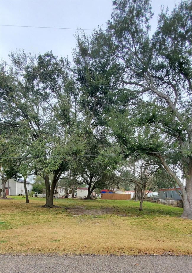 0 Blum St, Alvin, TX 77511 - photo 4