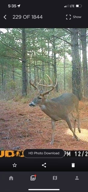 0 Hooks Rd, Pittsview, AL 36871 - photo 5