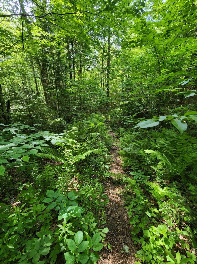 0 Rockwood Rd unit 4916310, Franconia, NH 03580 - photo 7