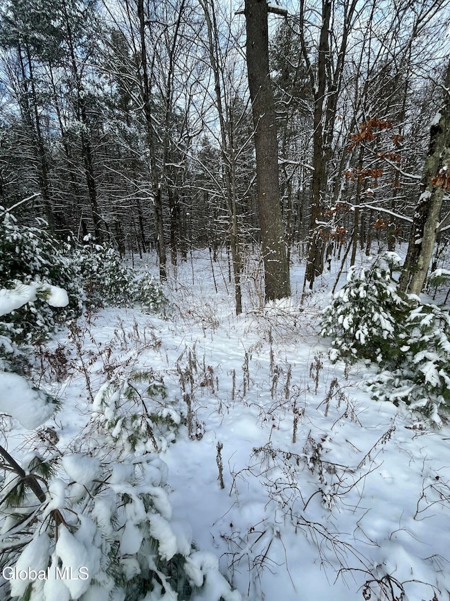 L 27.11 King Rd, Gansevoort, NY 12831 - photo 2