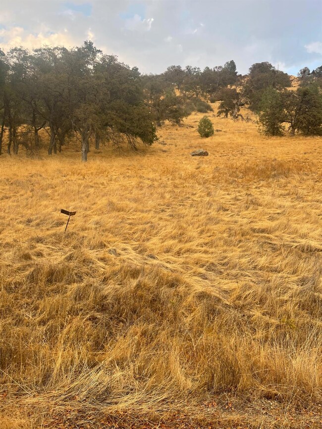 0 Castillo Way unit 225125624, La Grange, CA 95329 - photo 2