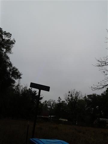 xx Westmarch Rd unit 1, Crawfordville, FL 32327 - photo 5