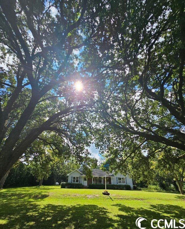 4436 Highway 19, Conway, SC 29526 - photo 4