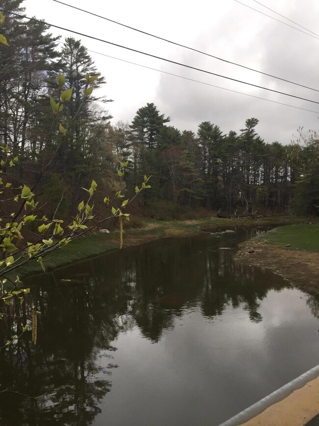 Tidal Mill Creek, Polly Clark Brook