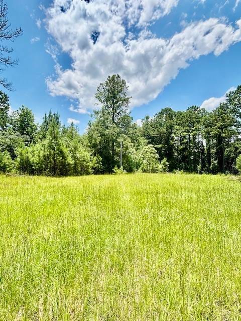 26489 Point A Isle Rd, Andalusia, AL 36421 - photo 4