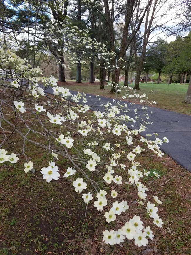 275 Flushing Cove, Hernando, MS 38632 - photo 6