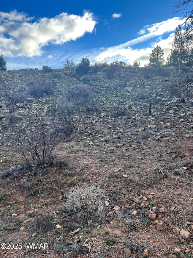 2820 Pine Hill Dr, Overgaard, AZ 85933 - photo 2