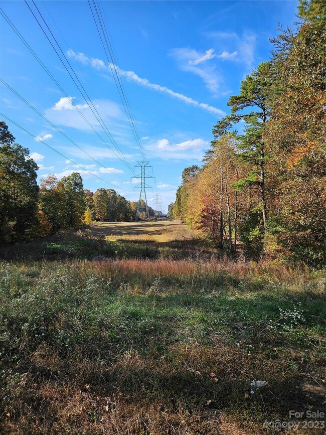 1324 L R Schronce Ln, Iron Station, NC 28080 - photo 4