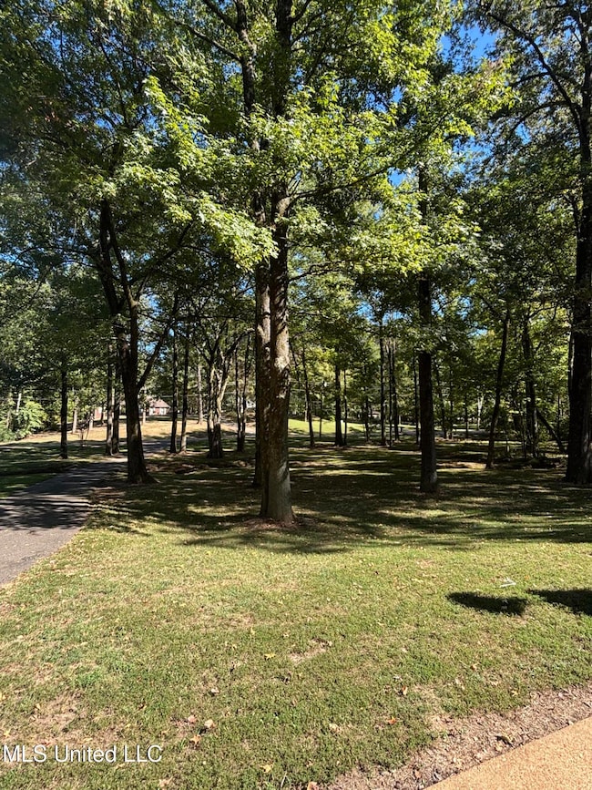 7465 Broken Hickory Dr, Walls, MS 38680 - photo 6