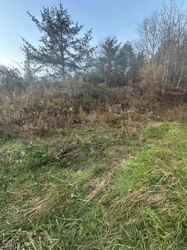 325 Cane Creek Rd, West Liberty, KY 41472 - photo 5