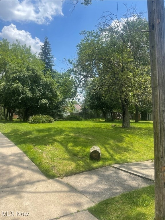 5257 Philip Ave, Maple Heights, OH 44137 - photo 4