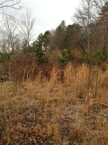 137 Country Junction Rd, West Union, SC 29696 - photo 5