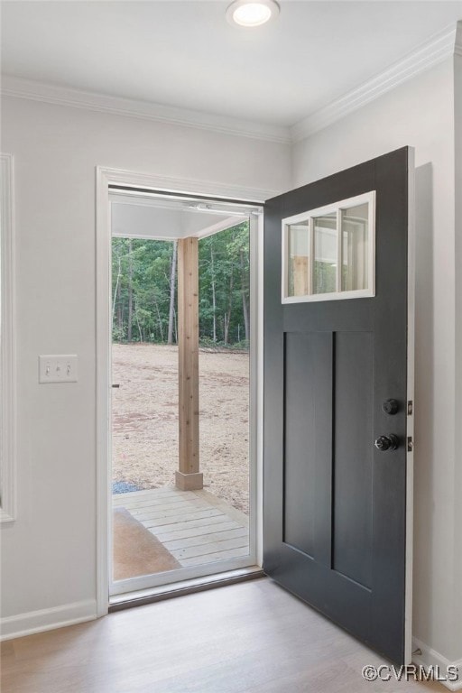 Foyer entrance featuring wood finished floors, cro
