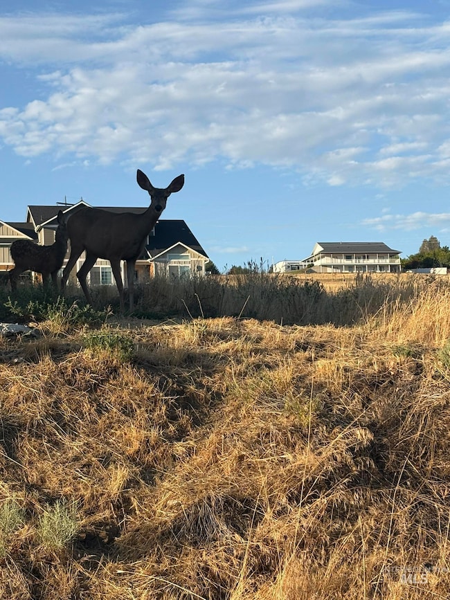 2616, Clarkston, WA 99403 - photo 2