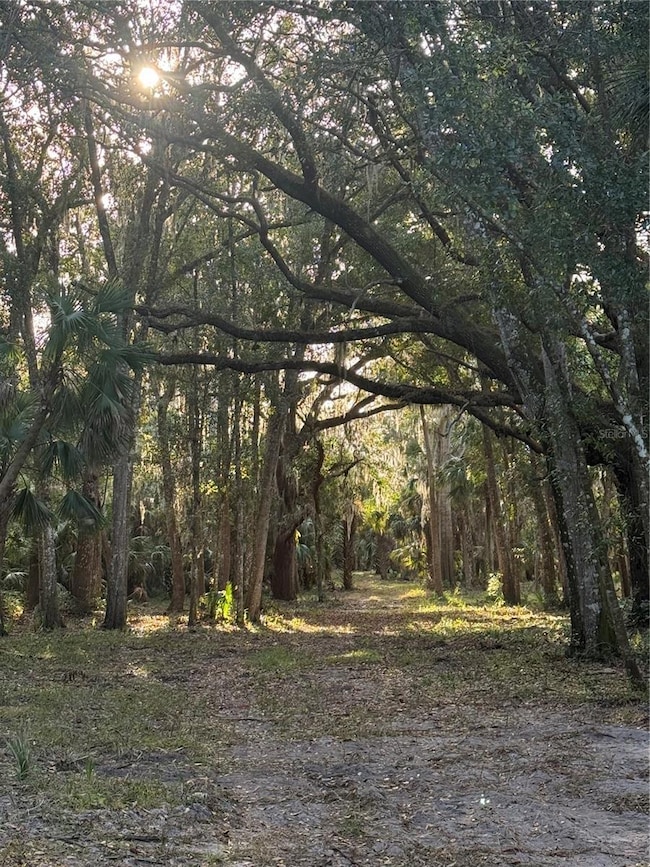 4400 N Oceanshore Blvd, Palm Coast, FL 32137 - photo 7