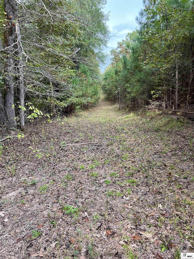 00 Highway 552, Downsville, LA 71234 - photo 7