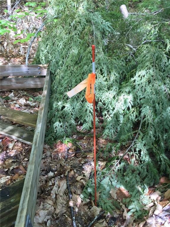 9 Kansas Shores Rd S, Bridgton, ME 04009 - photo 3