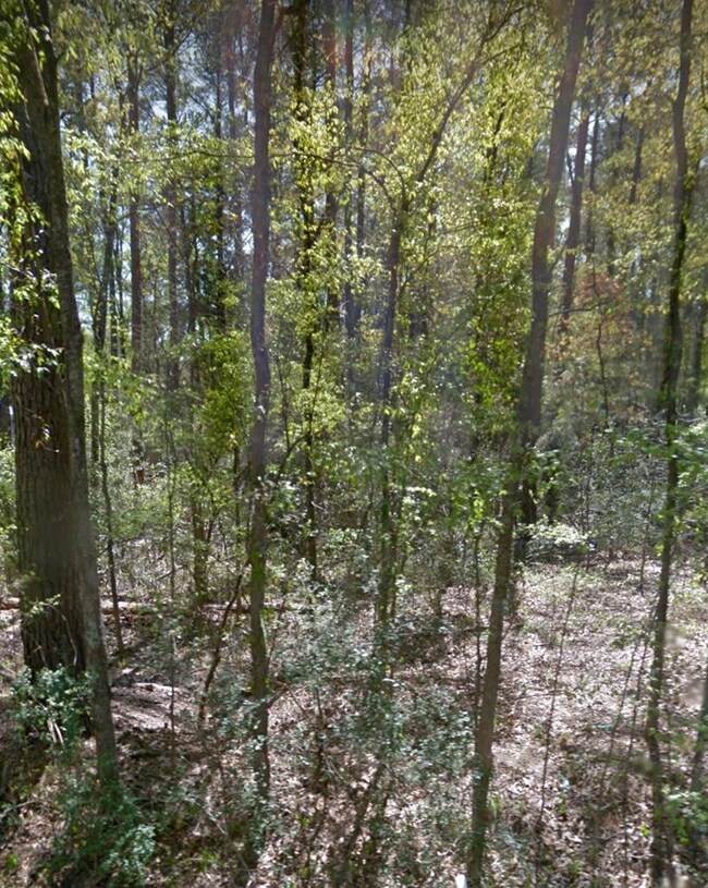 0 Penn Bonner Rd, Lufkin, TX 75904 - photo 2