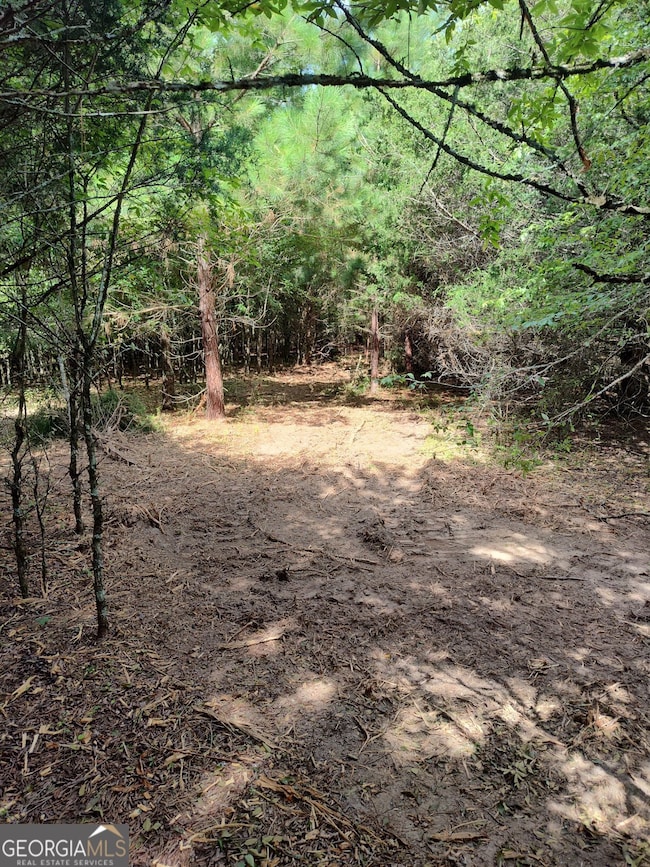 1661 G R Hayes Dr, Elberton, GA 30635 - photo 3