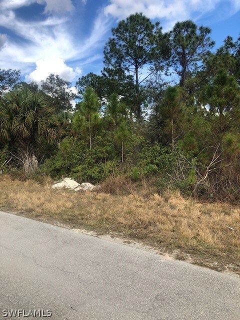 2110 Robert Ave, Alva, FL 33920 - photo 2