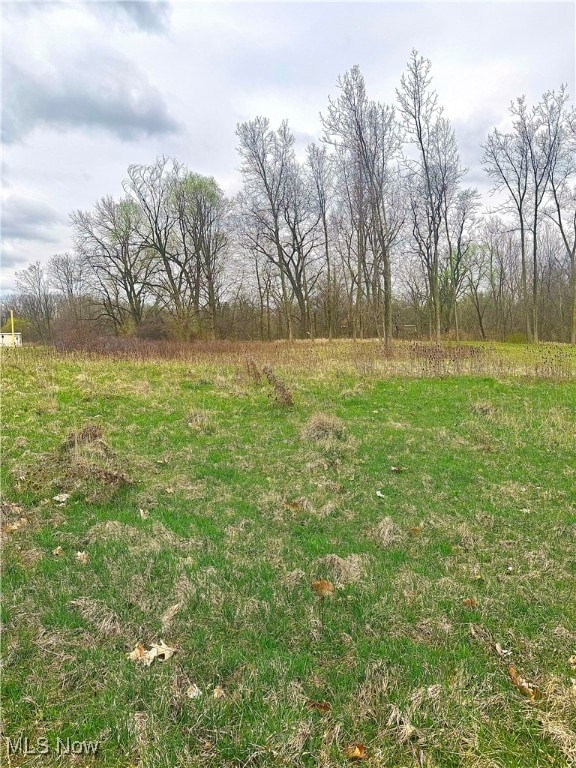 0 E Bagley Rd unit 5111166, Middlebrg Heights, OH 44130 - photo 2