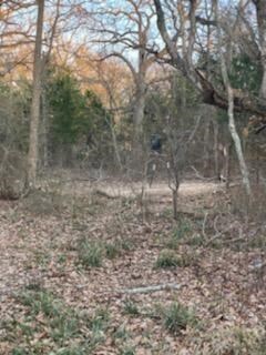 0 Hwy 59 unit 92096, Athens, TX 75751 - photo 3