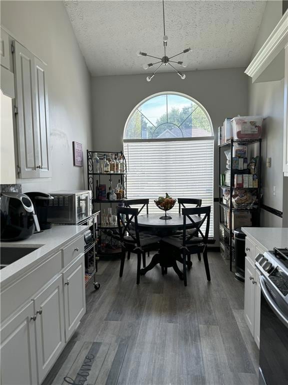 Dining space featuring a textured ceiling, a chandelier, and dark wood-style floors