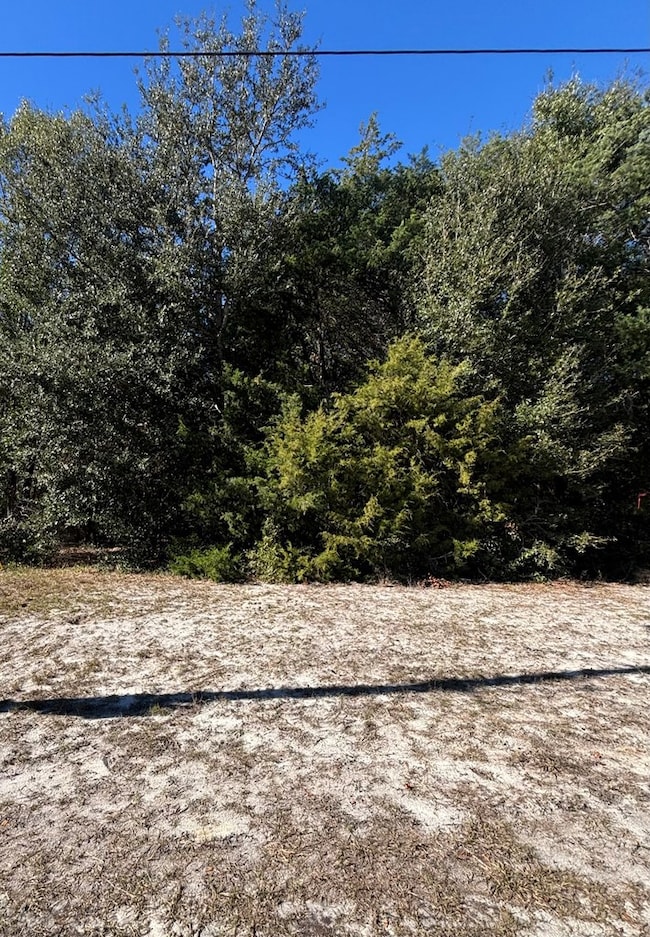 0001 NE 349 Hwy, Old Town, FL 32680 - photo 3