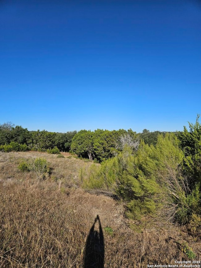 2385 Comal Springs, Canyon Lake, TX 78133 - photo 2