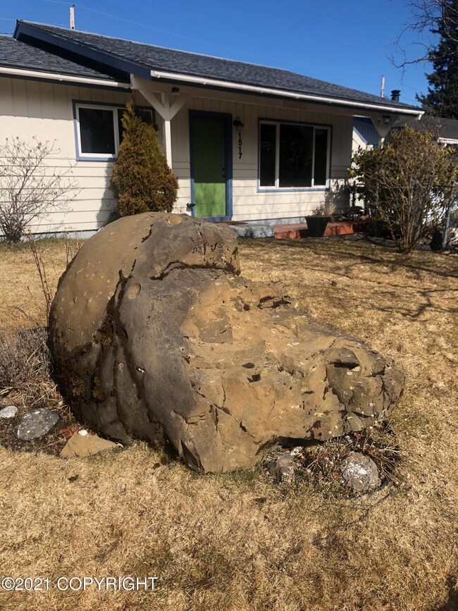 Front Yard
