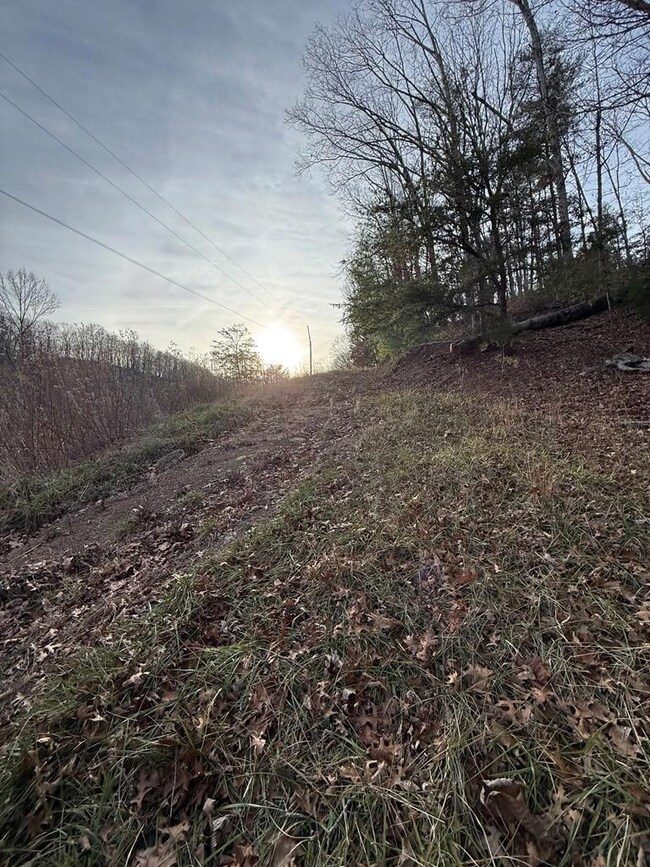 0 Seneca Trail S unit 55718, Lindside, WV 24951 - photo 2