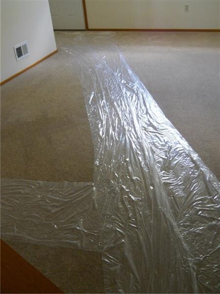 New Wall to Wall carpet thru-out