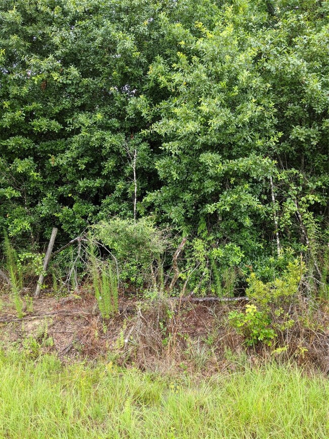 25153 Blackburn Dr, Splendora, TX 77372 - photo 7