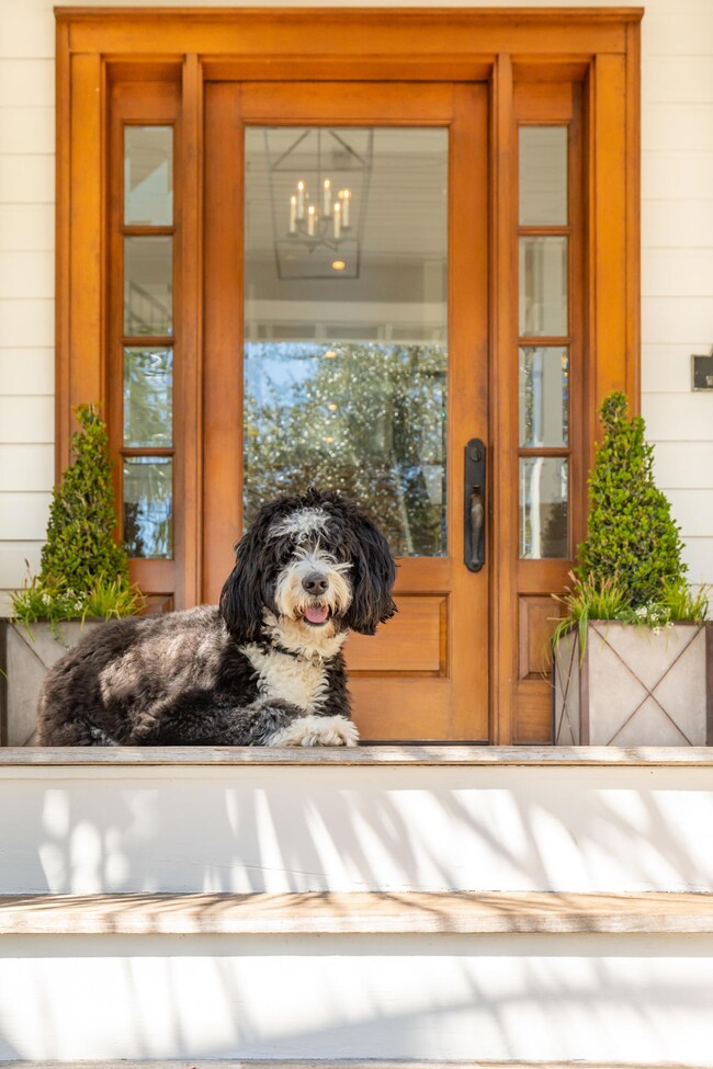 Welcome Home