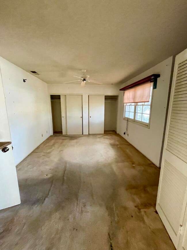 Den/Bedroom