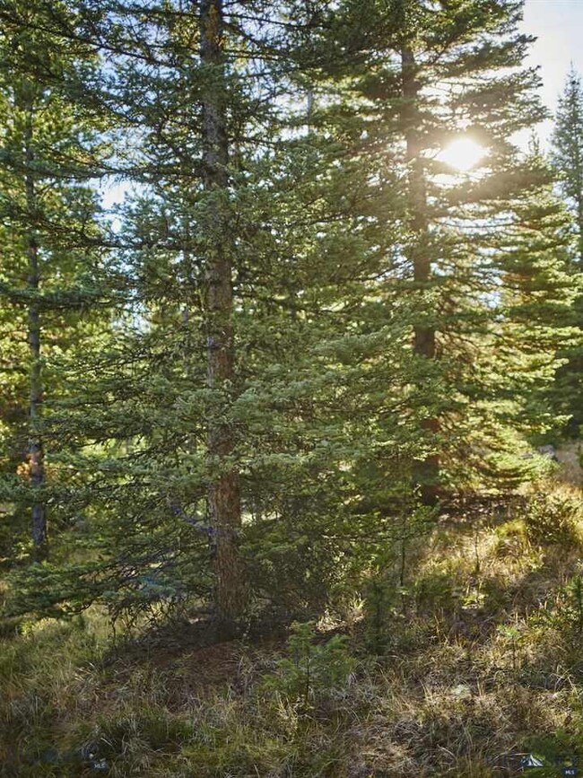 0 Hyalite Dr unit 208213, Big Sky, MT 59716 - photo 3