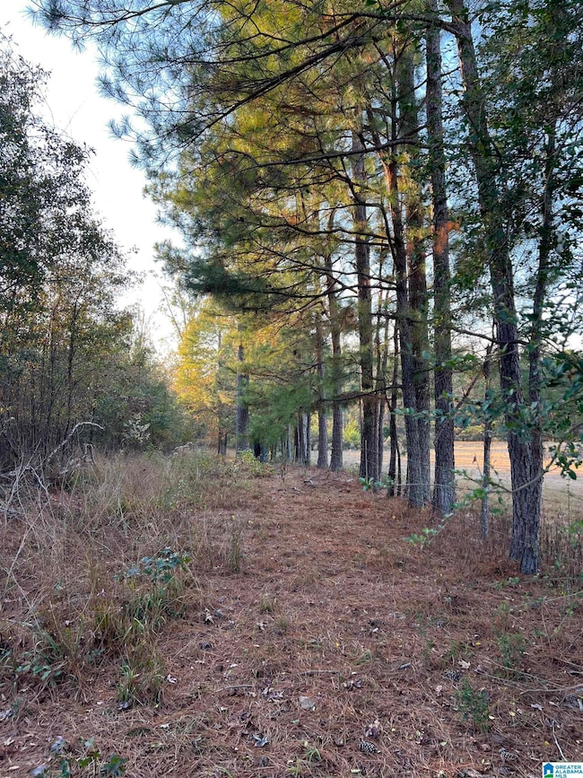 11 Acres Risers Mill Rd, Alpine, AL 35014 - photo 4