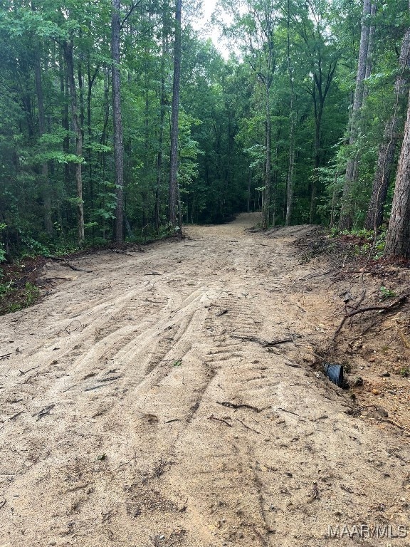 196 Venable Ct, Wetumpka, AL 36092 - photo 3