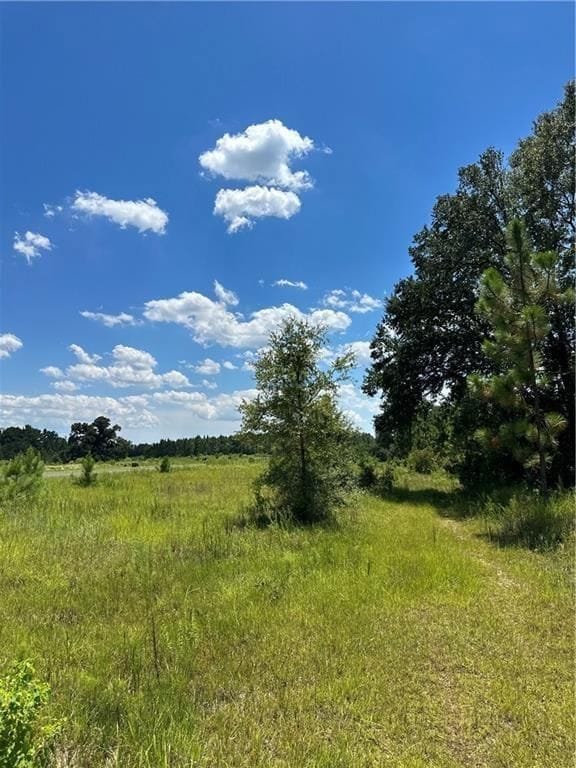 0 Hampton Rd unit 24516393, Mobile, AL 36608 - photo 3