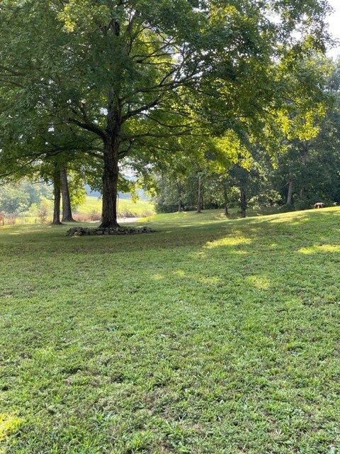 2050 Limekiln Rd, Tennessee Ridge, TN 37178 - photo 4