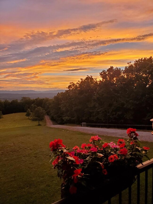 890 Blain rd Sunset 2
