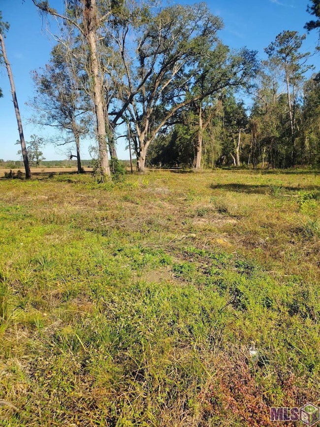 22601 Fletcher Rd, Ponchatoula, LA 70454 - photo 4