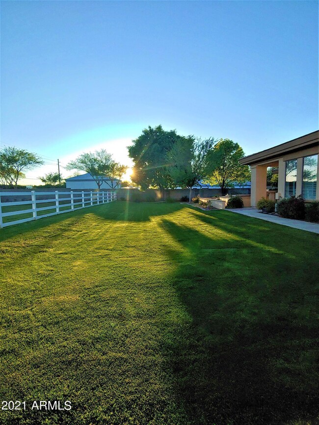 Backyard