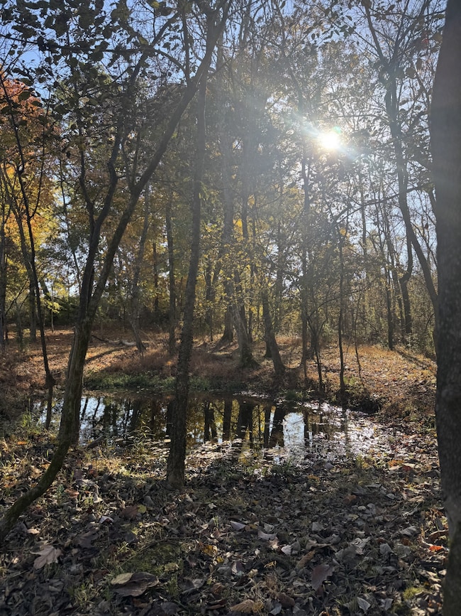 528 Hunting Hills Dr, Mount Juliet, TN 37122 - photo 4