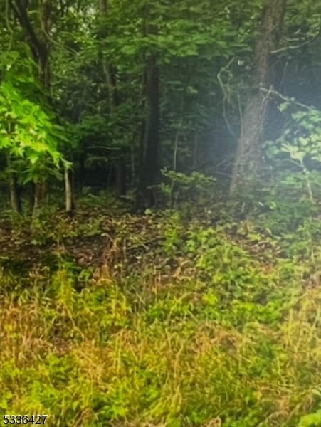 16 Lakeview Dr, Wantage, NJ 07461 - photo 2