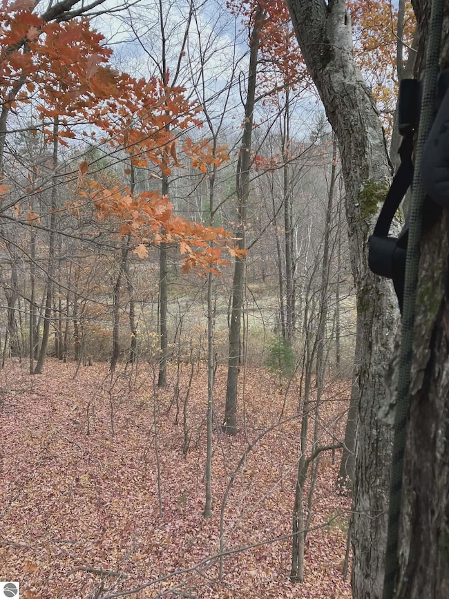 20047 Davis Lake Rd, Traverse City, MI 49684 - photo 6