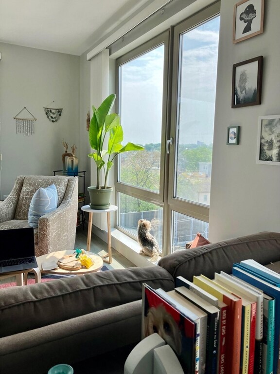 640 Boston Ave unit 502, Medford, MA 02155 - photo 2